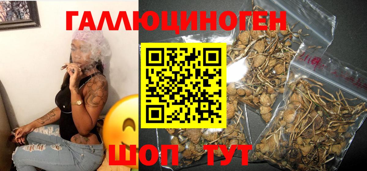 Псилоцибиновые грибы мицелий Асино