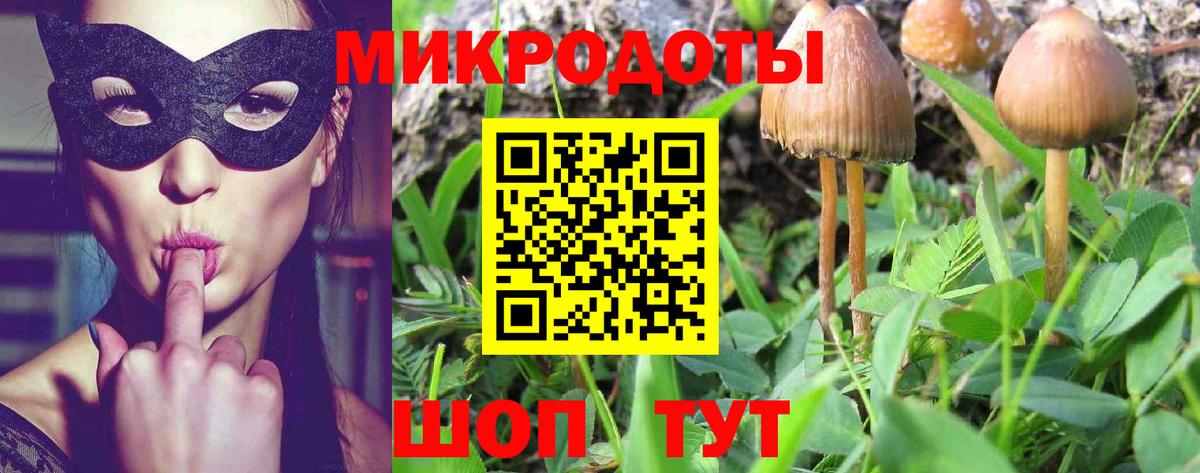 Галлюциногенные грибы GOLDEN TEACHER  Вход с VPN  Асино 